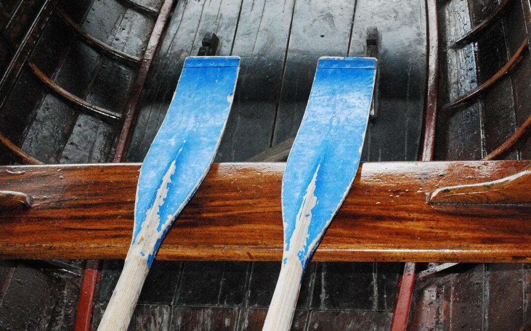 The Guardian with the Learning Paddle