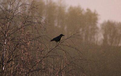 Received Horrible News