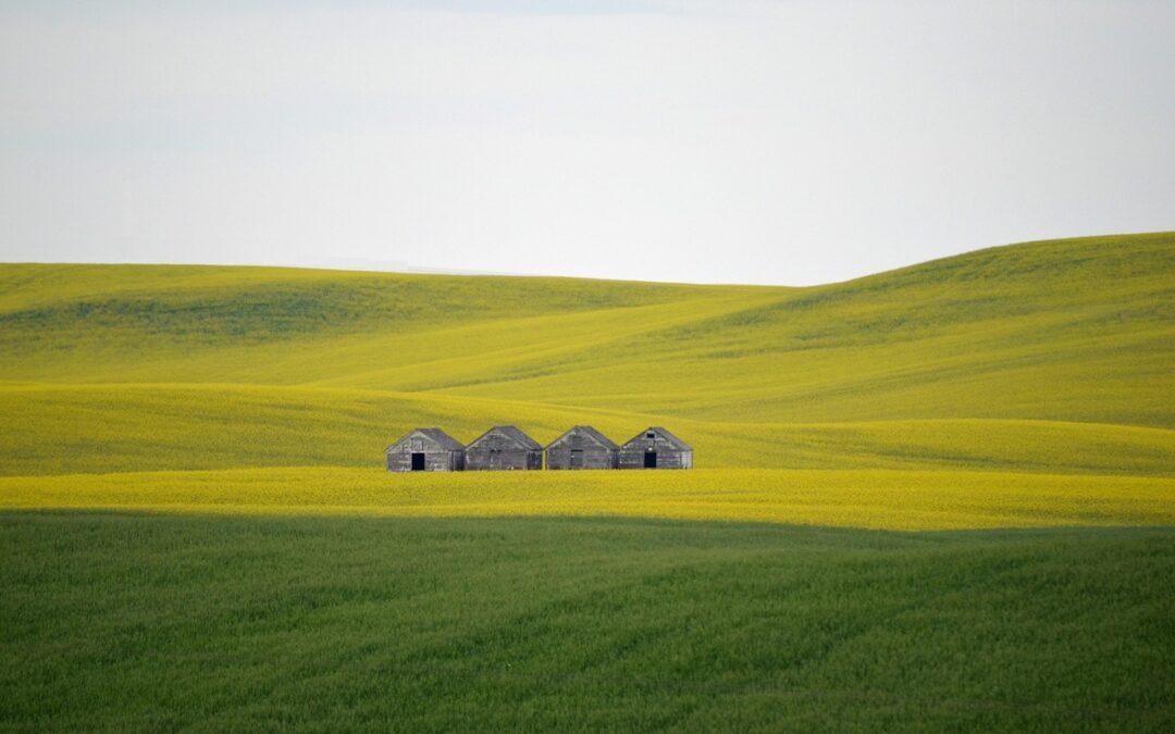 Listen to a Mouthy Friend