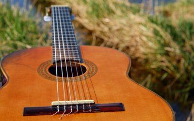 The Chief Fault and Default of Couples