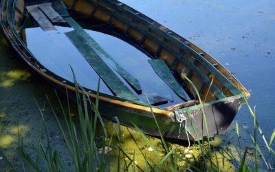 Hellion In Rebellion