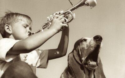 Don’t Just Blindly Raise Your Kids